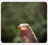 Jingdezhen ceramic slightly drunk sake set