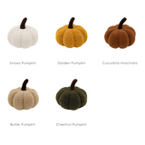 Pumpkin Cushion