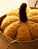 Pumpkin Cushion