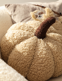Pumpkin Cushion
