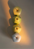 Creative Fruit Seasoning Jar