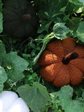 Pumpkin Cushion